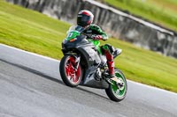 Oulton-Park-14th-March-2020;PJ-Motorsport-Photography-2020;anglesey;brands-hatch;cadwell-park;croft;donington-park;enduro-digital-images;event-digital-images;eventdigitalimages;mallory;no-limits;oulton-park;peter-wileman-photography;racing-digital-images;silverstone;snetterton;trackday-digital-images;trackday-photos;vmcc-banbury-run;welsh-2-day-enduro